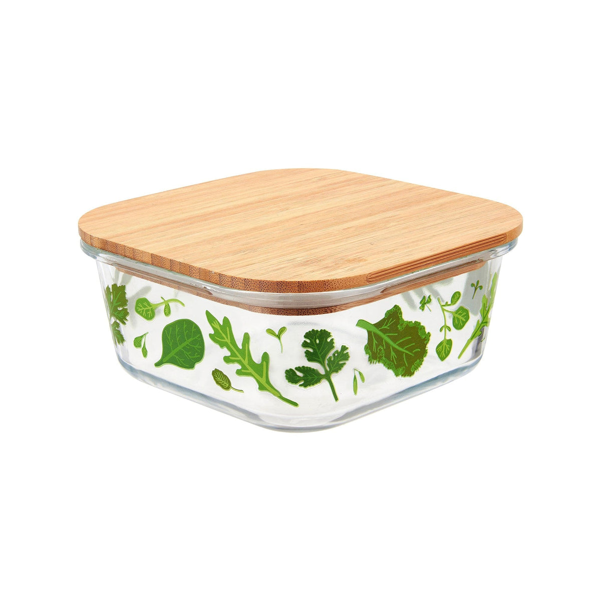 Sass & Belle small Powered by Plants Glass Storage Box