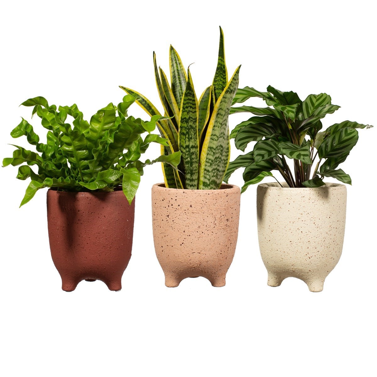 Sass & Belle Speckled Leggy Planter