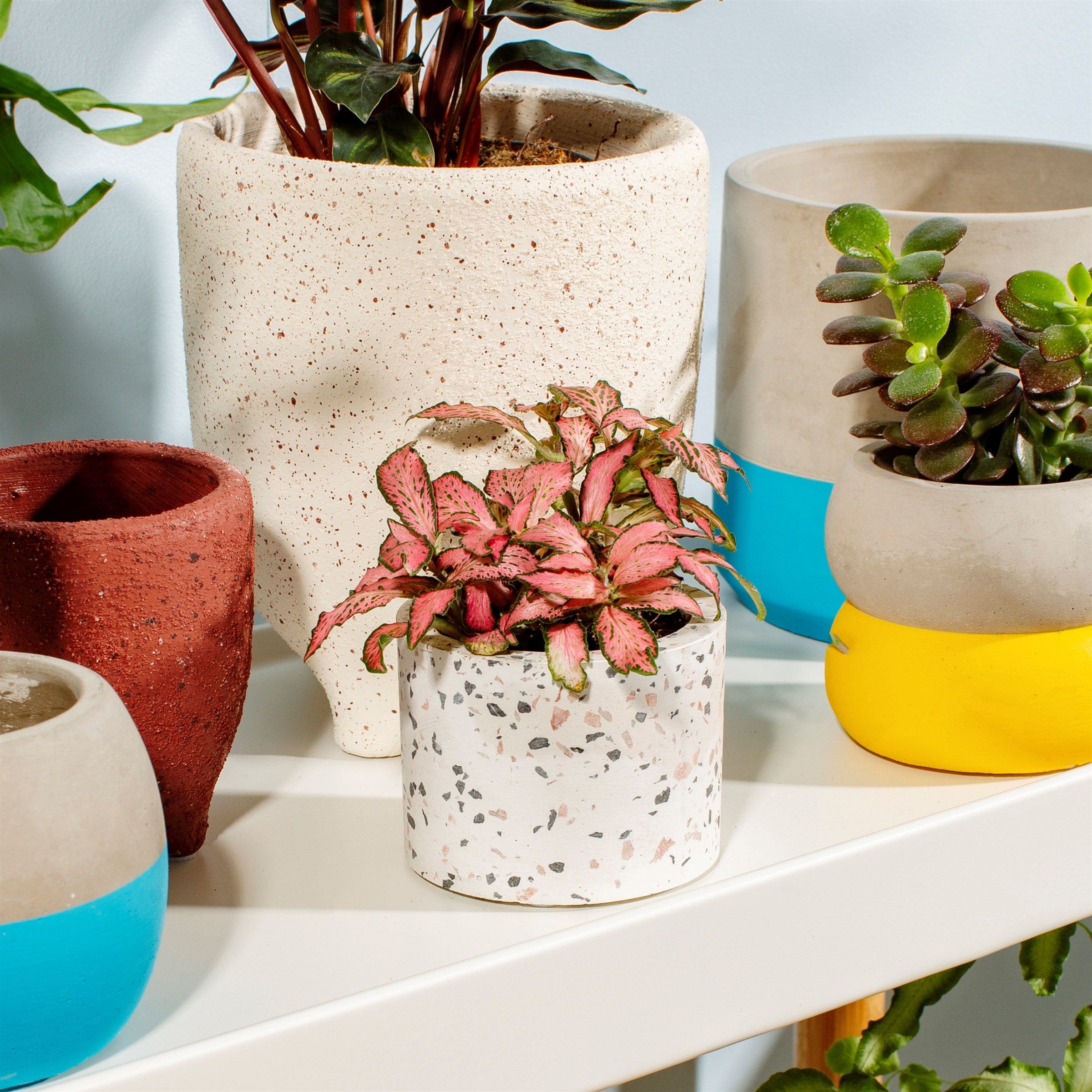 Terrazzo deals plant pot