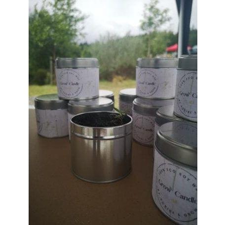 Scribe & Grow Bothy Ballad Grow Candle