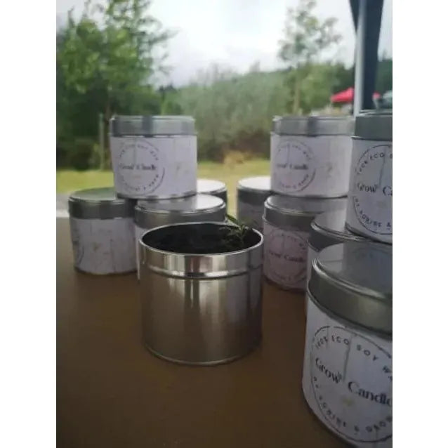 Scribe & Grow Scottish Raspberry & Peppercorn Grow Candle