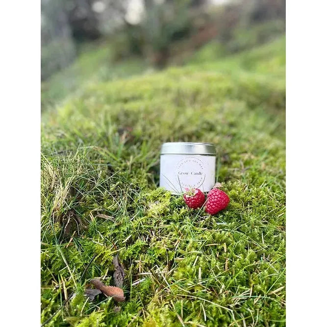 Scribe & Grow Scottish Raspberry & Peppercorn Grow Candle