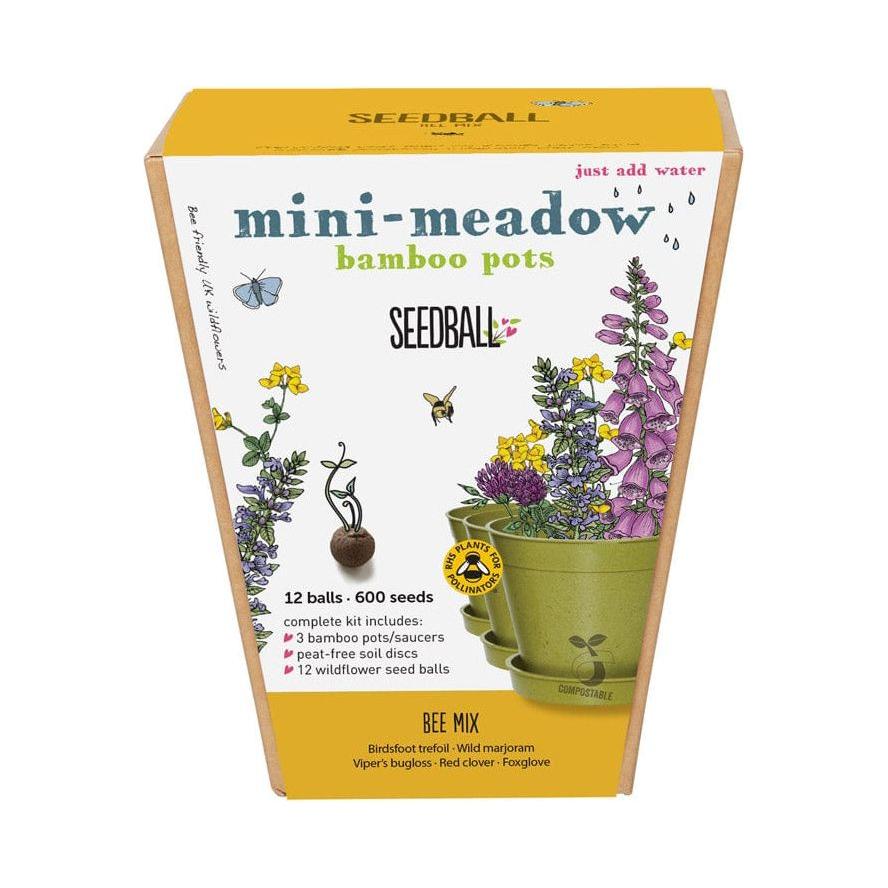 Seedball Bee Mix Mini Meadow Kit