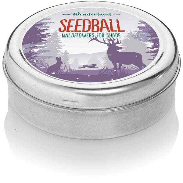 Seedball Christmas Wildflower Seed Tin (2 to choose from)