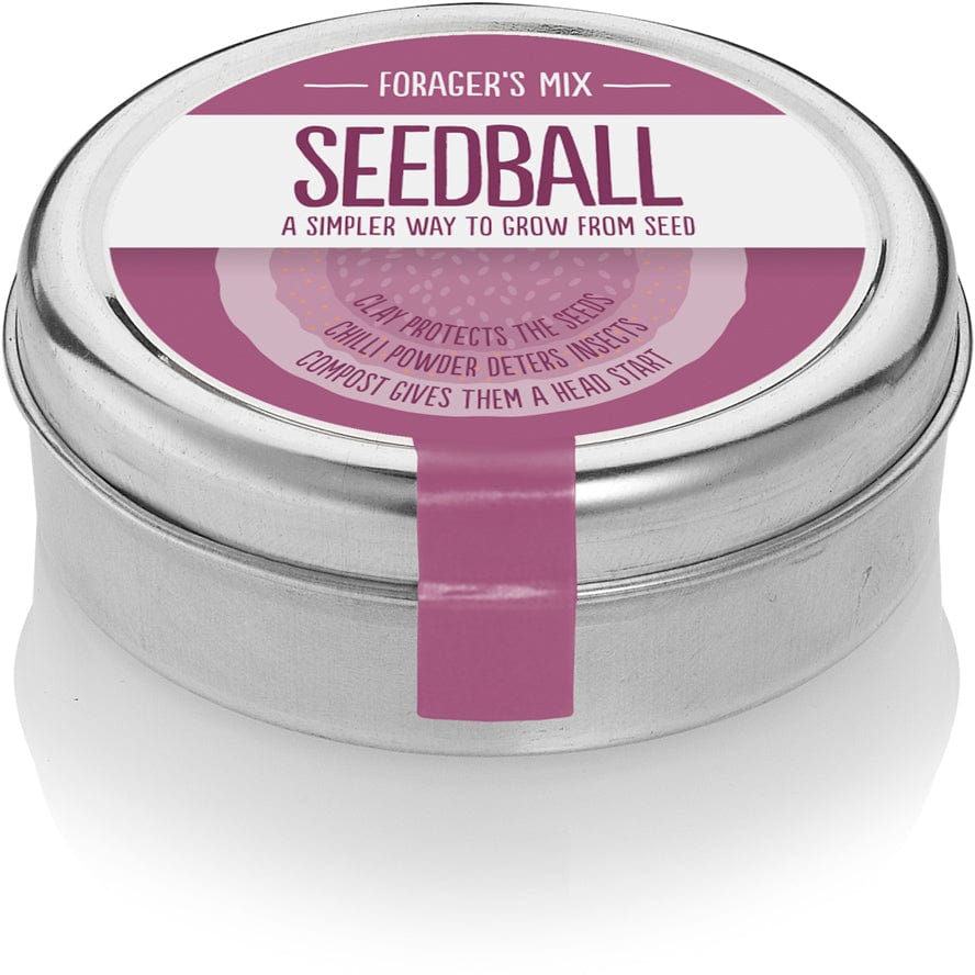 Seedball Foragers Mix Wildflower Seed Tin (14 to choose from)