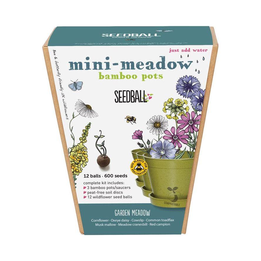 Seedball Garden Meadow Mini Meadow Kit