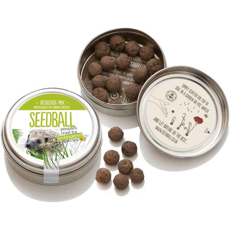 Seedball Hedgehog Mix Wildflower Seed Tin (14 to choose from)