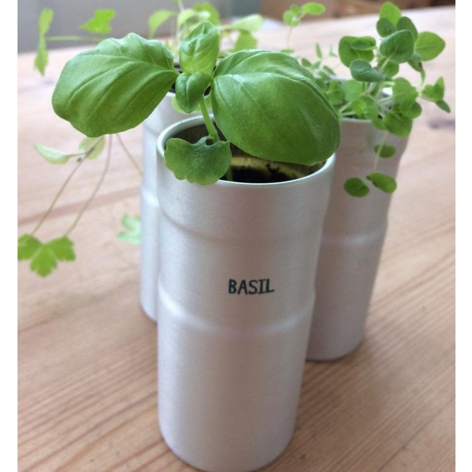 Seedball Italian Herb Kitchen Kit