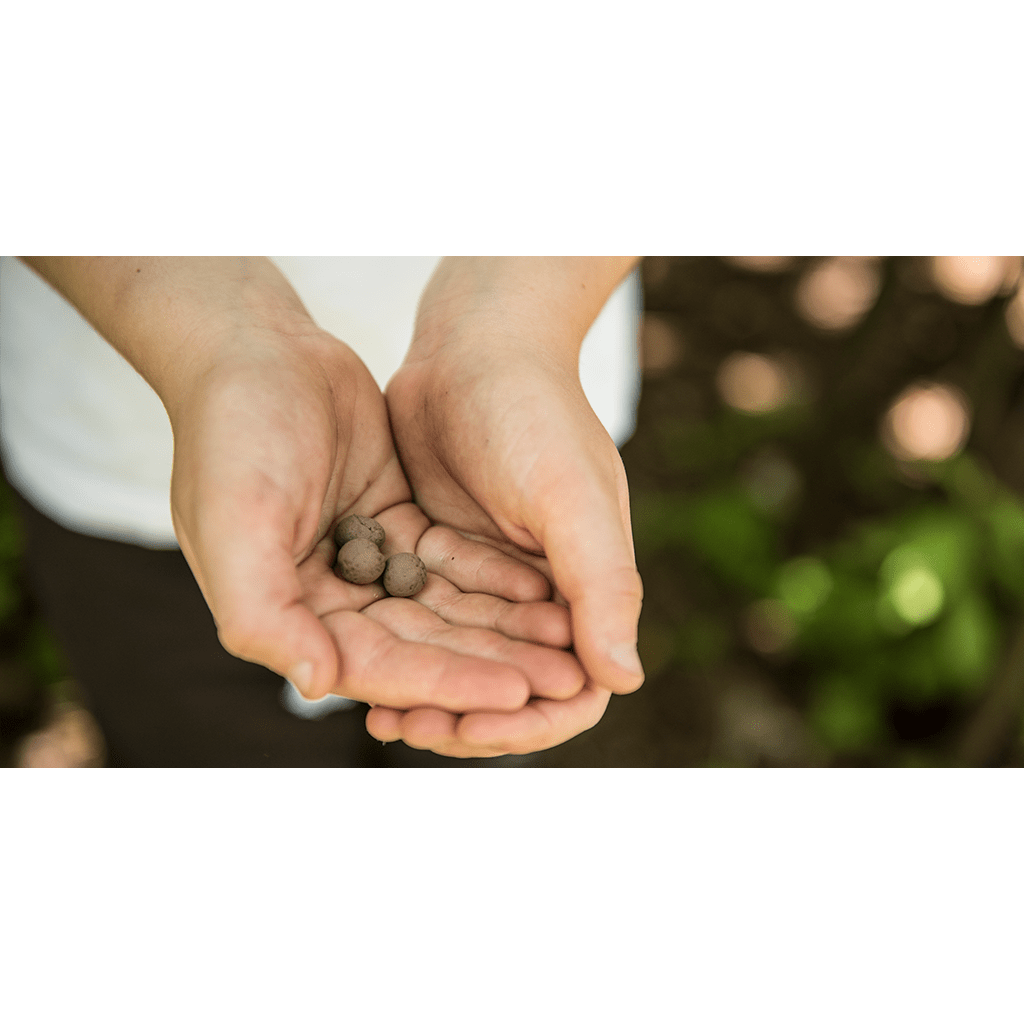 Seedball Make Your Own Seedballs – Flowers for Bees