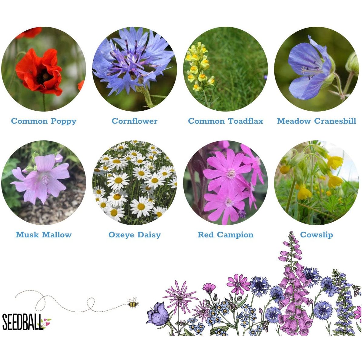 Seedball Make Your Own Seedballs – Flowers for Bees