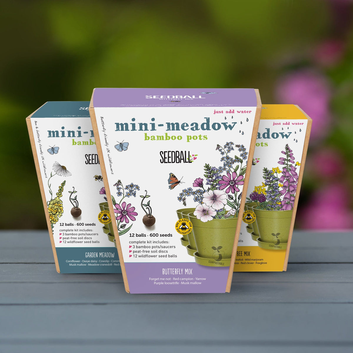 Seedball Mini Meadow Kit