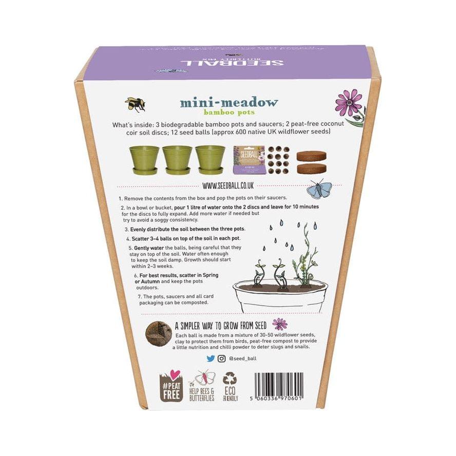 Seedball Mini Meadow Kit
