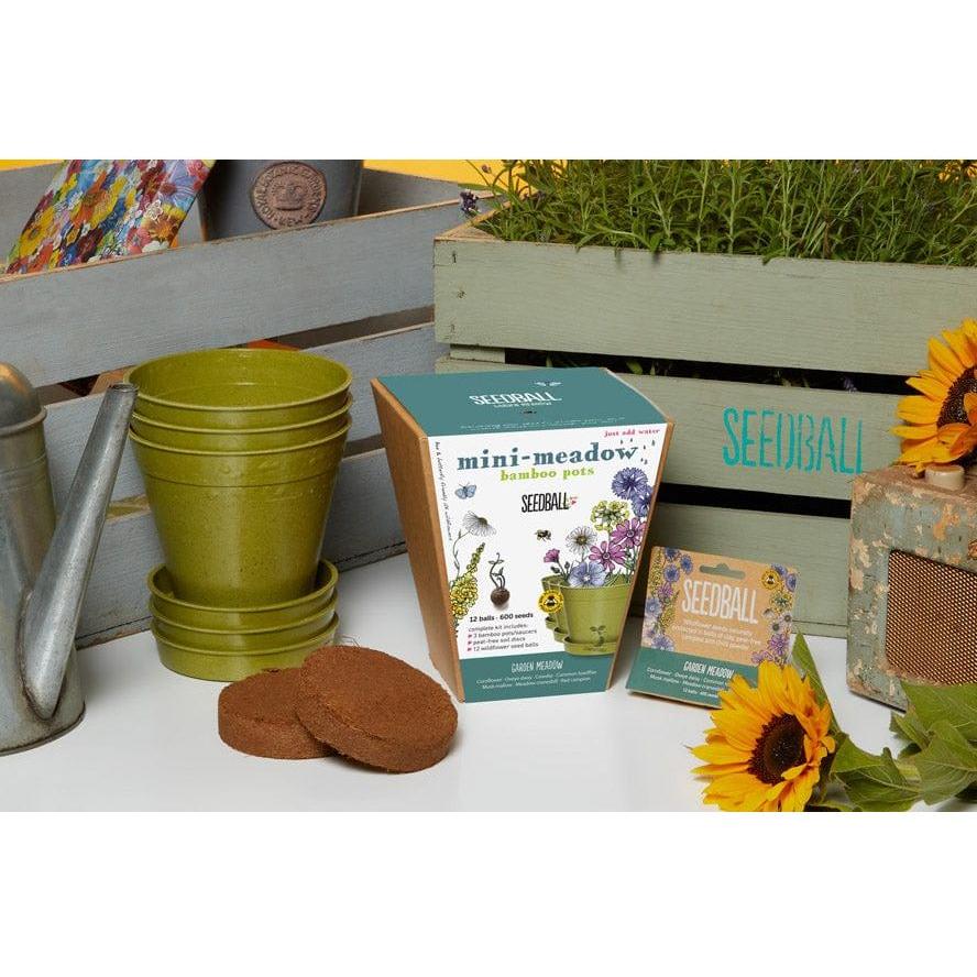 Seedball Mini Meadow Kit
