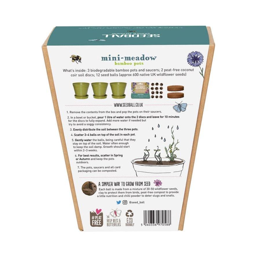 Seedball Mini Meadow Kit