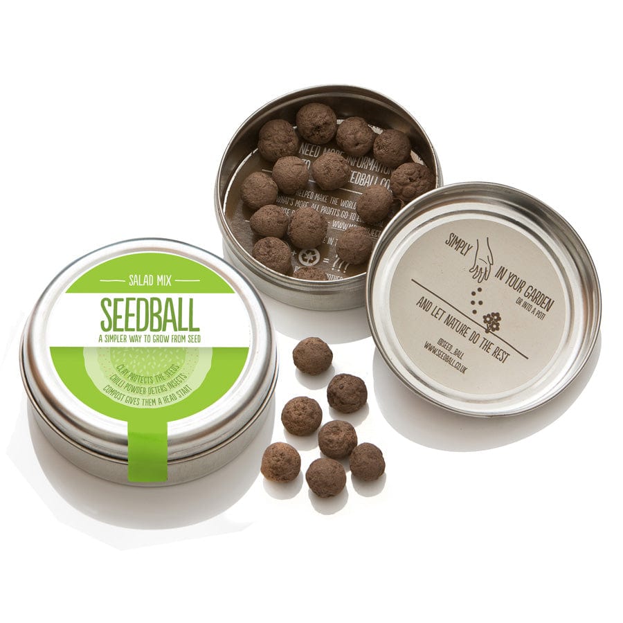 Seedball Salad Mix Wildflower Seed Tin