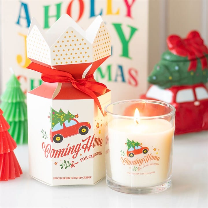 Something Different Coming Home for Christmas Spiced Berry Candle