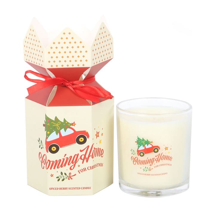 Something Different Coming Home for Christmas Spiced Berry Candle