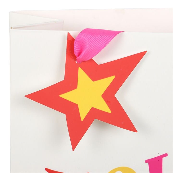 Something Different Holly Jolly Gift Bag