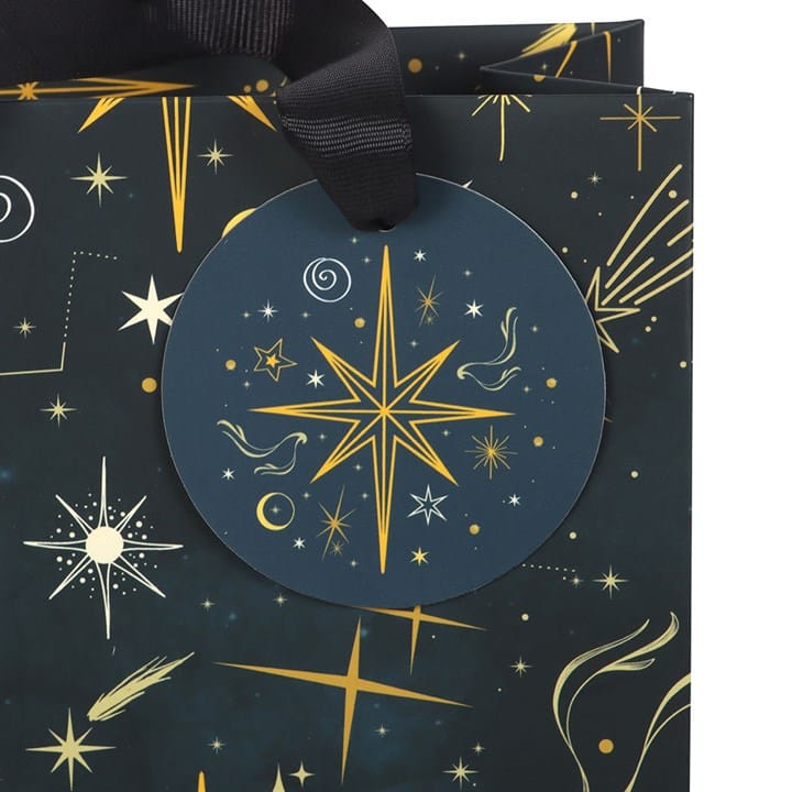 Something Different Medium Starry Night Gift Bag