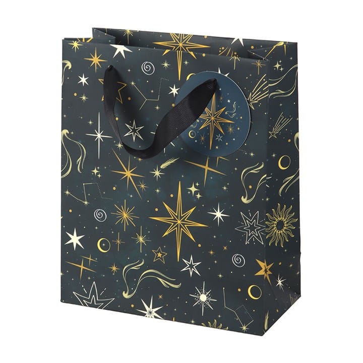 Something Different Medium Starry Night Gift Bag