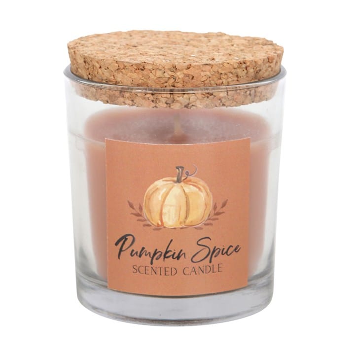 Something Different Pumpkin Spice Autumn Candle