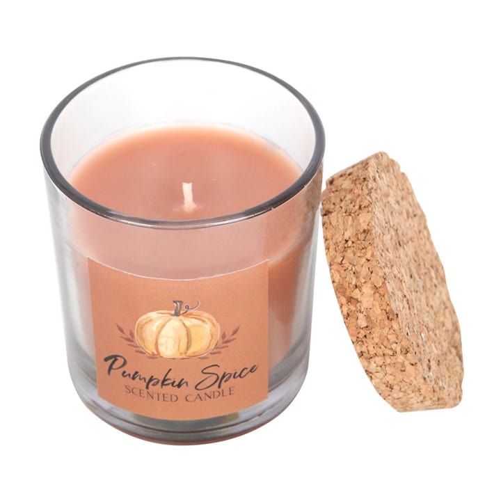 Something Different Pumpkin Spice Autumn Candle