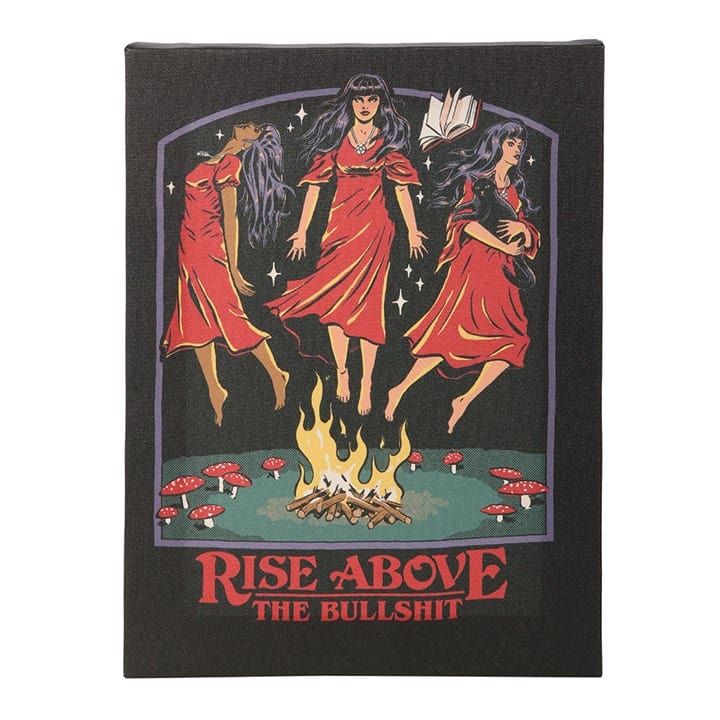 Something Different Rise Above the Bullshit Canvas Plaque