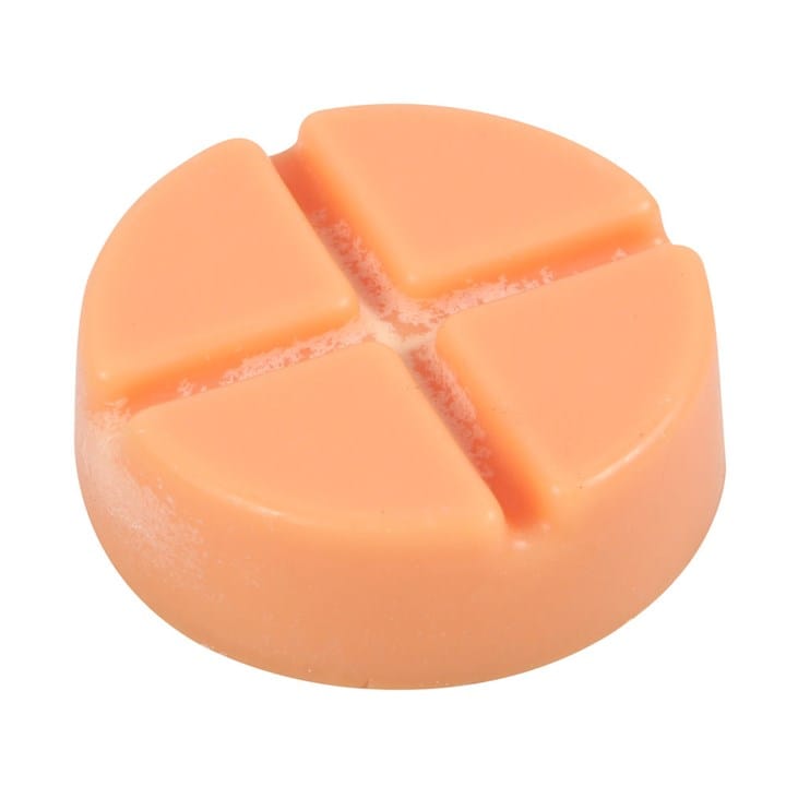 Something Different Spiced Pumpkin Melt Snap Disc