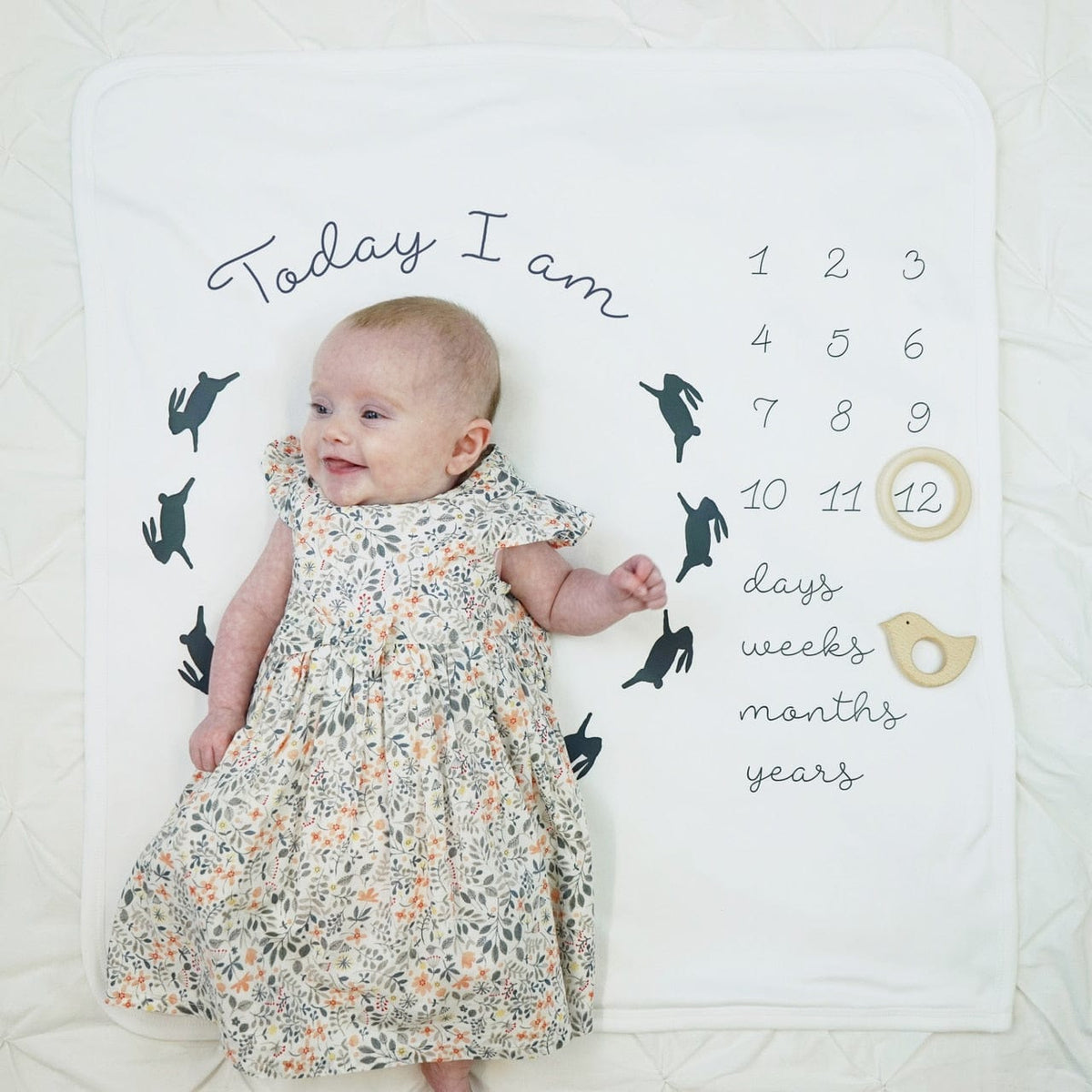 Sparks and Daughters Bunny Rabbit Baby Milestone Blanket