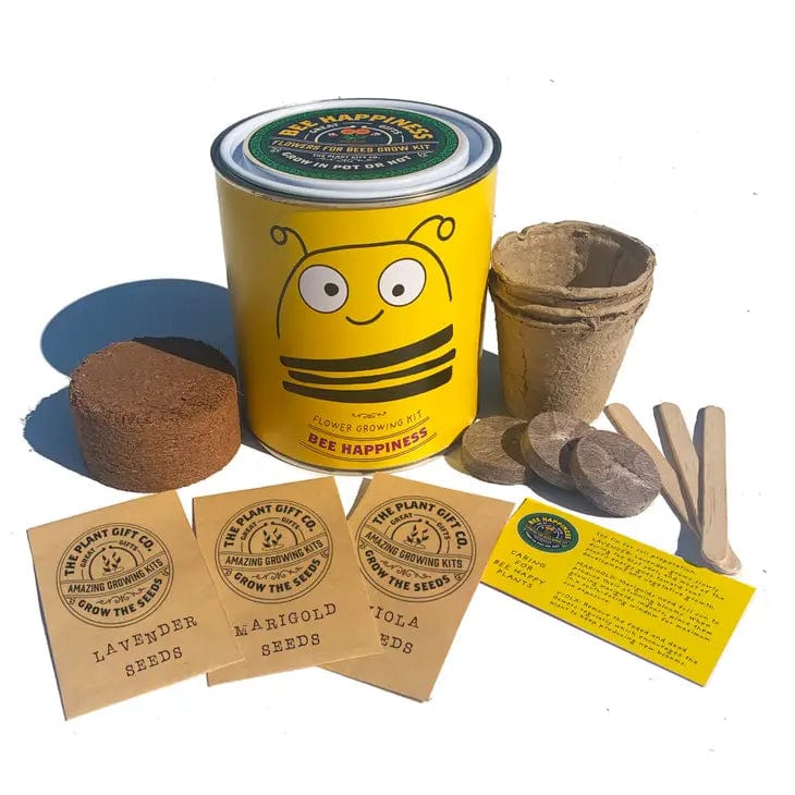 The Plant Gift Co. Big Bee Happiness Eco Plant Grow Kit