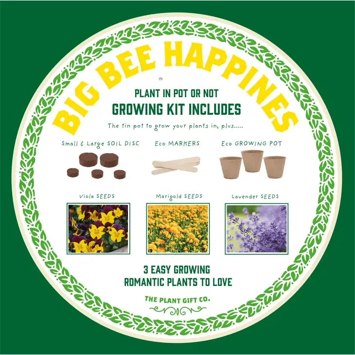 The Plant Gift Co. Big Bee Happiness Eco Plant Grow Kit