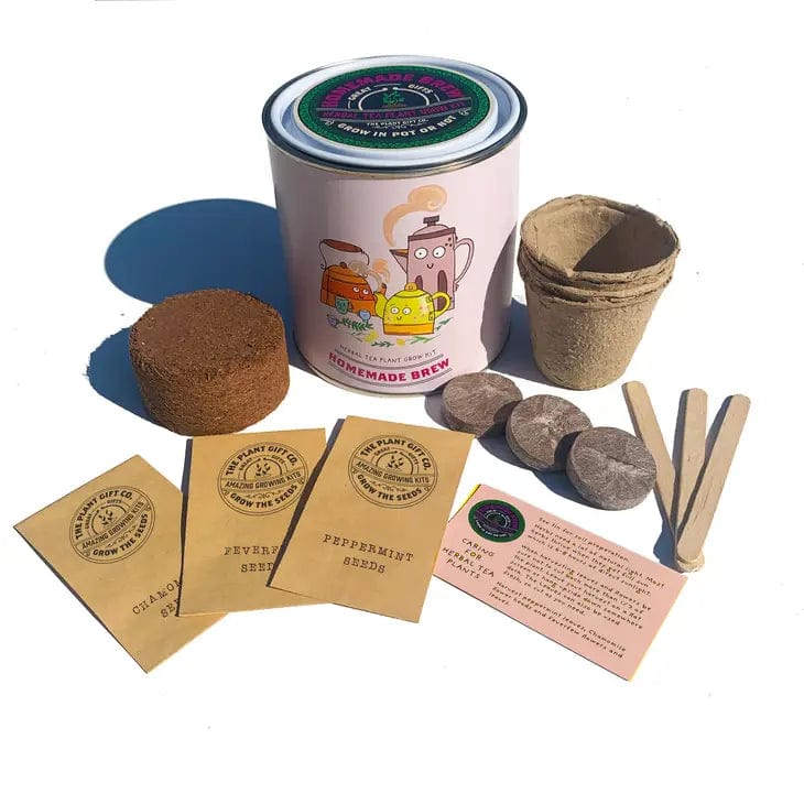 The Plant Gift Co. Homemade Brew Eco Grow Your Own Tea Kit