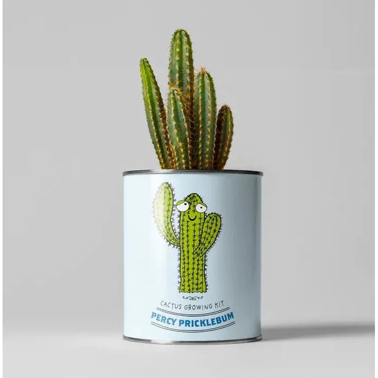 The Plant Gift Co. Percy Pricklebum. Grow Your Own Cacti Kit