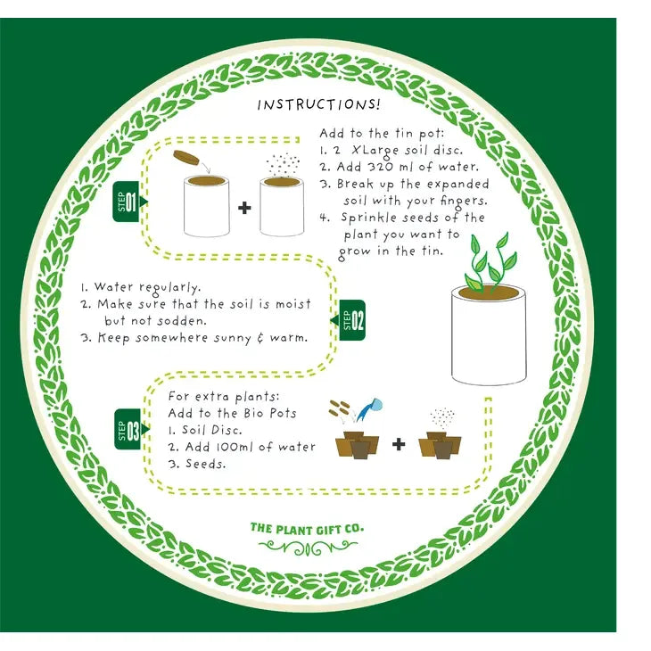 The Plant Gift Co. Percy Pricklebum. Grow Your Own Cacti Kit